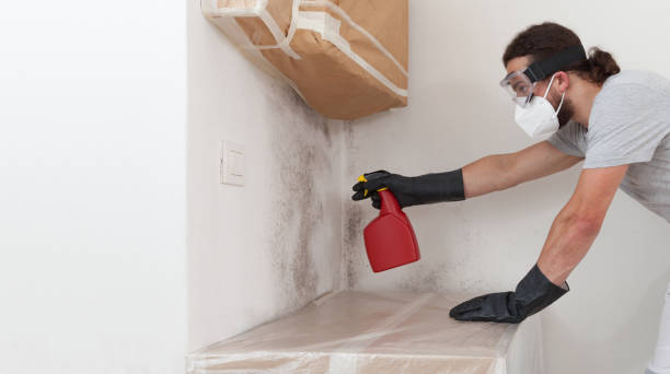 Professional Mold Inspection And Testing technician working in Colts Neck, NJ